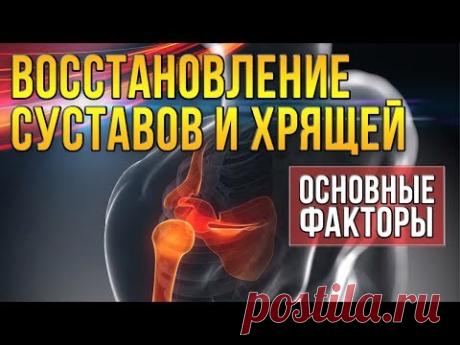 Рецепт восстановления суставов 100% ) эффект