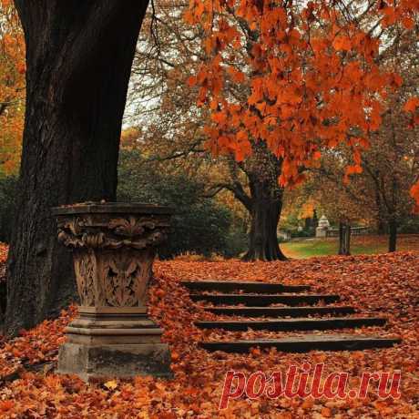 Пин на доске Fall