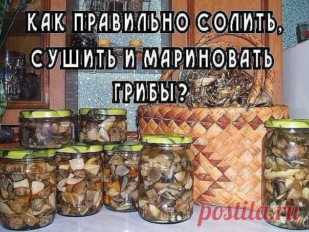 КАК ПРАВИЛЬНО СОЛИТЬ, СУШИТЬ И МАРИНОВАТЬ ГРИБЫ? 

Многие занимаются сбором грибов. Как начинается сезон, все устремляются в лес, на поиски груздей, опят и лисичек. Собирать грибы большое удовольствие и этим занимаются целыми семьями. Для некоторых это не только отдых и тихая охота, но и еще добыча провианта. Всем известно о питательных свойствах грибов, они могут заменить мясо. Но при сборе грибов не следует забывать и об осторожности. Многие грибы опасны для человека, ес...