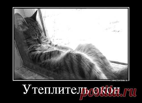 Утеплитель окон.