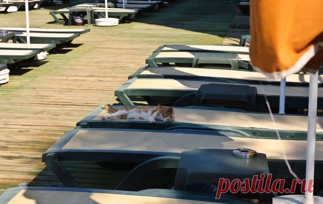 timka733 — «Турист» на Яндекс.Фотках