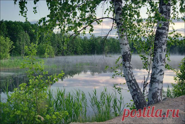 Вежливые Люди. Русь Единая - НОД ☑ 21₊ АНТИМАЙДАН