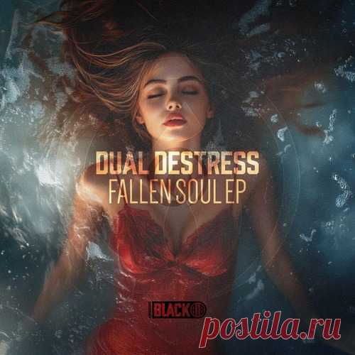 Download Dual DeStress – Fallen Soul EP [AIRBORNEB124] Label Airborne Black Styles Techno (Peak Time / Driving) Date 2025-04-18 Catalog # AIRBORNEB124 Length 12:34 Tracks 2