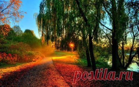 Мой Мир@Mail.Ru