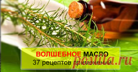 Волшебное масло с бесчисленным количеством применений! Узнайте, какое… Невероятная польза! Универсальное масло, которое должно быть в доме у каждого! Ловите в копилку полезных рецептов! * ГОЛОВА * ОЧИЩЕНИЕ ВОЛОС И ВОЛОСЯНЫХ