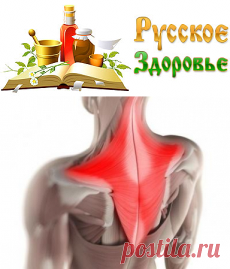 Эмоциональное напряжение и мышечные зажимы