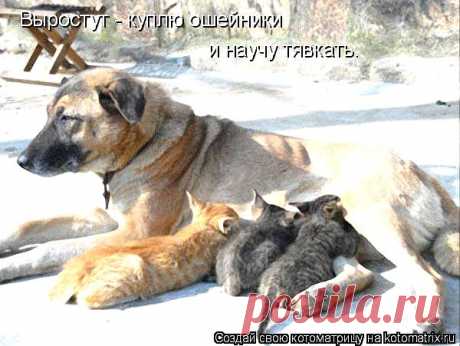 Интересные новости