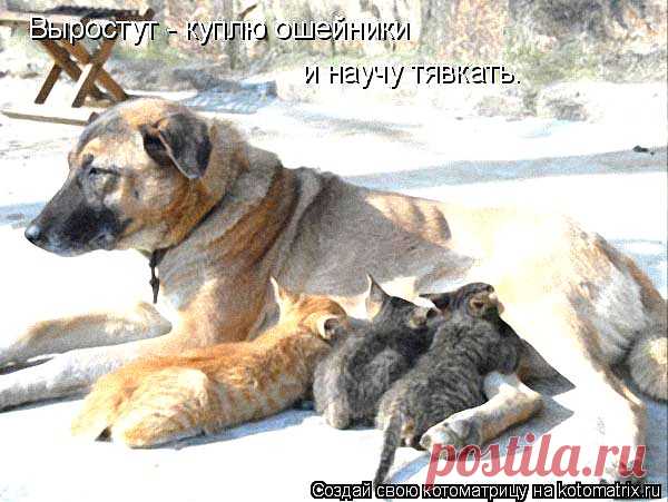 Интересные новости