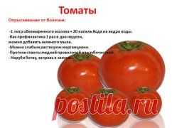 ОПРЫСКИВАНИЕ ОТ БОЛЕЗНЕЙ
