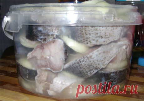 КАК СДЕЛАТЬ САЛАМУР ИЗ ТОЛСТОЛОБИКА. РЕЦЕПТ САЛАМУРА ИЗ ТОЛСТОЛОБИКА.