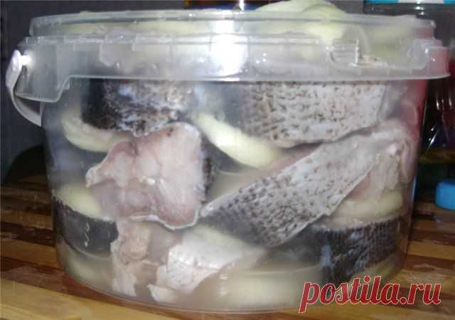 КАК СДЕЛАТЬ САЛАМУР ИЗ ТОЛСТОЛОБИКА. РЕЦЕПТ САЛАМУРА ИЗ ТОЛСТОЛОБИКА.