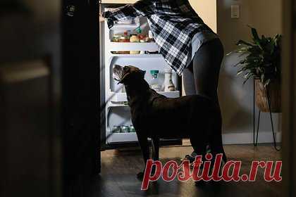 Россиян предостерегли от хранения некоторых продуктов в холодильнике. Некоторые продукты не стоит хранить в холодильнике во избежание потери ими питательных и пищевых свойств, предупредила специалист государственной инспекции столицы по качеству сельскохозяйственной продукции, сырья и продовольствия (МосГИК) Елена Павлова в беседе с «Москвой 24».