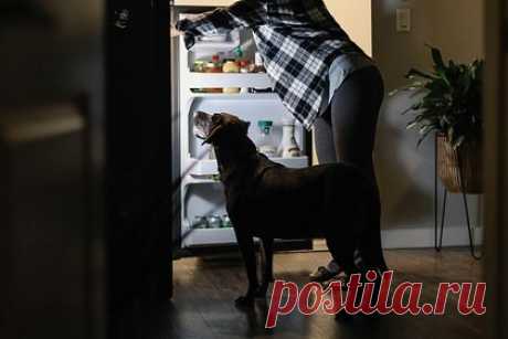 Россиян предостерегли от хранения некоторых продуктов в холодильнике. Некоторые продукты не стоит хранить в холодильнике во избежание потери ими питательных и пищевых свойств, предупредила специалист государственной инспекции столицы по качеству сельскохозяйственной продукции, сырья и продовольствия (МосГИК) Елена Павлова в беседе с «Москвой 24».