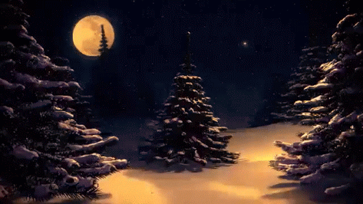 Галина Андреева - Google+