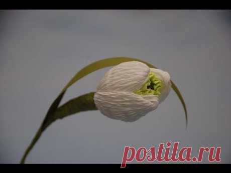 ▶ МК Подснежники для букета из конфет. DIY Snowdrop of sweets - YouTube