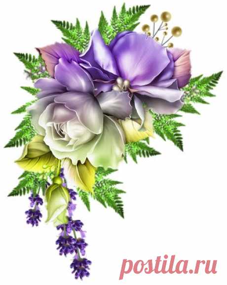 (24) Pinterest