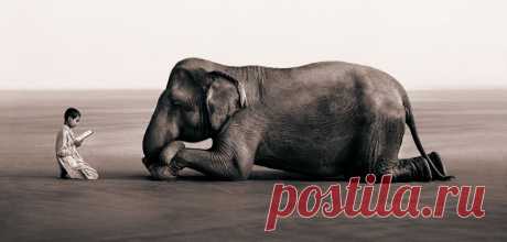 «Живые шедевры природы» от Грегори Кольбер (Gregory Colbert) | Фотоискусство
