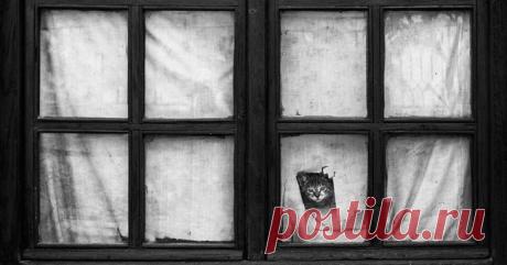 Главное, чтобы дома кто-то ждал – Фитнес для мозга