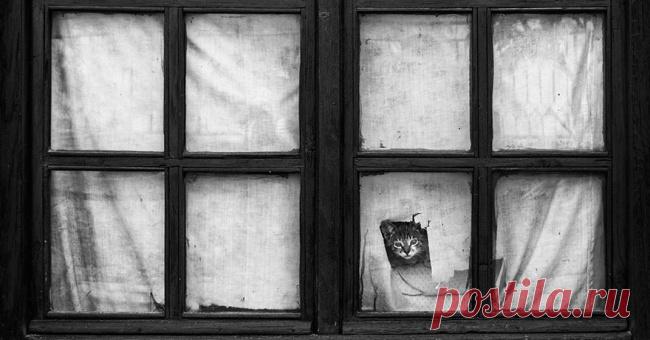 Главное, чтобы дома кто-то ждал – Фитнес для мозга