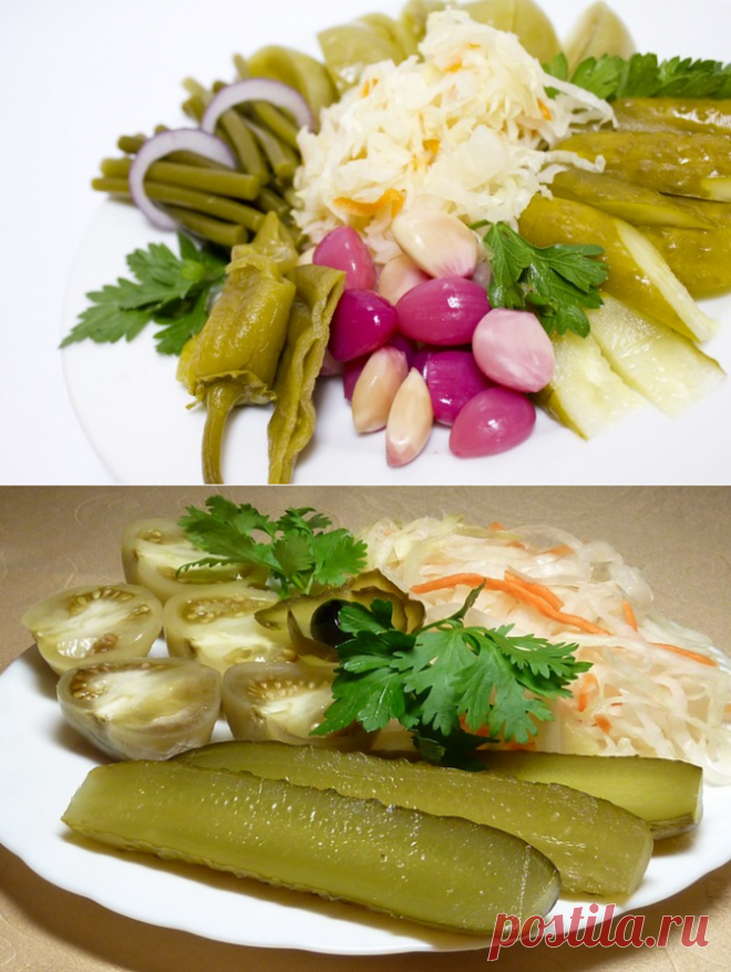 ПАМЯТКА. Как квасить и солить без ошибок