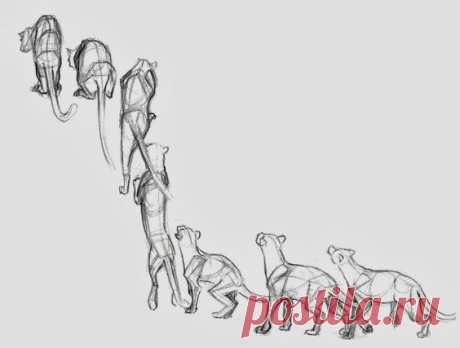 Рисунок. Раскадровка. Кошка запрыгивает на забор.
