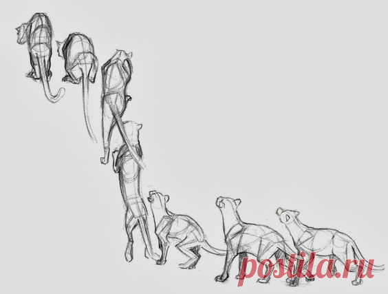 Рисунок. Раскадровка. Кошка запрыгивает на забор.