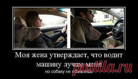 она знает...