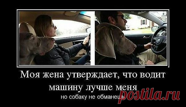 она знает...