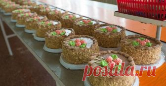 Девять любимых тортов СССР 
Проверенные временем, лучшие рецепты тортов советских времен
Подборка 9 рецептов отличных тортов, вкус которых многие помнят с детства. Эти торты должен знать каждый, ведь это классика домашней выпеч…