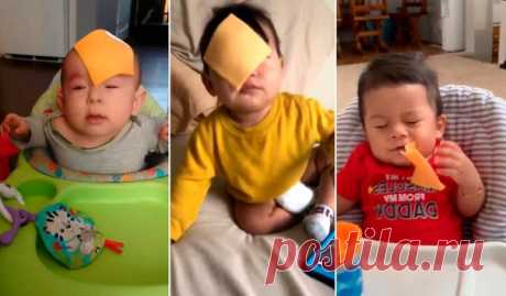 Идиотизм крепчает! Что заставляет людей бросать в лица детей сыр? Дурные примеры чрезвычайно заразительны! Примеров тому очень много. Часто глупая шутка одного человека становится трендом, который за короткое время захватывает миллионы. Вы думаете, это выдумка? Я был бы рад, чтобы это было так, но увы… Буквально недавно в сети появился новый челендж — #cheesechallenge, который кажется совершенно абсурдным и невероятным. Люди берут ломтики сыра и …