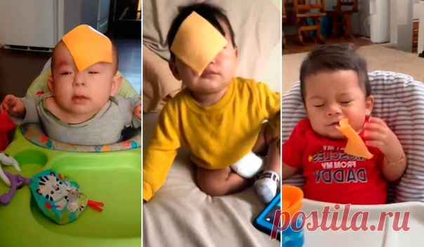 Идиотизм крепчает! Что заставляет людей бросать в лица детей сыр? Дурные примеры чрезвычайно заразительны! Примеров тому очень много. Часто глупая шутка одного человека становится трендом, который за короткое время захватывает миллионы. Вы думаете, это выдумка? Я был бы рад, чтобы это было так, но увы… Буквально недавно в сети появился новый челендж — #cheesechallenge, который кажется совершенно абсурдным и невероятным. Люди берут ломтики сыра и …