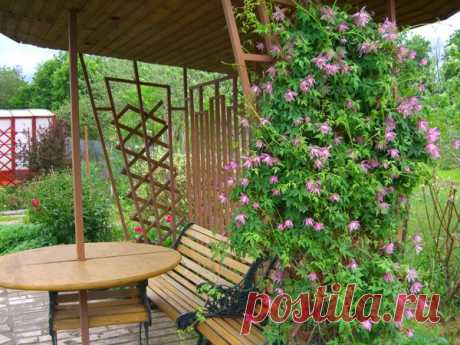 КРАСИВЫЕ УГОЛКИ НА ДАЧЕ