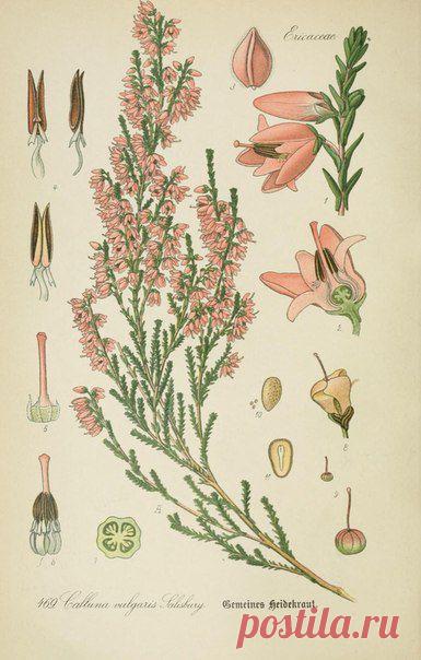 ~ MON PLAISIR ~ Вещи для души. Винтаж,Прованс.