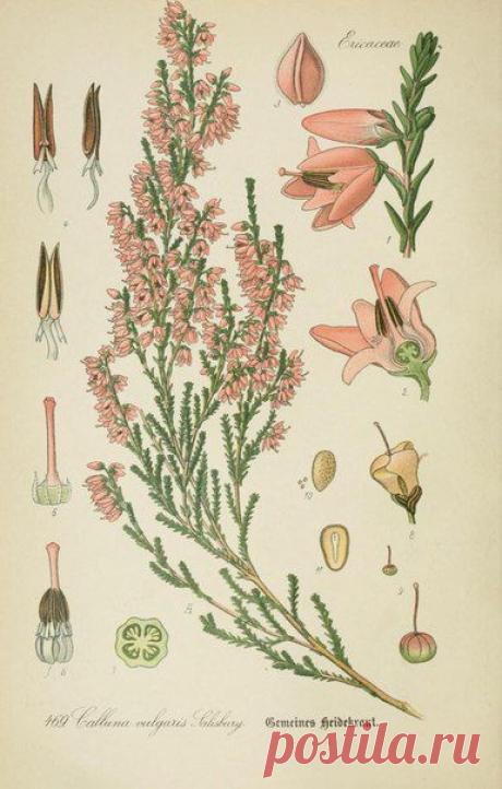 ~ MON PLAISIR ~ Вещи для души. Винтаж,Прованс.