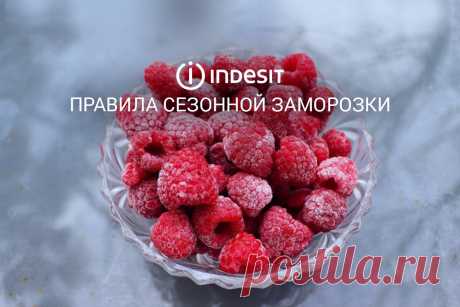 Правила сезонной заморозки: ягоды, овощи и зелень | Indesit Russia | Дзен