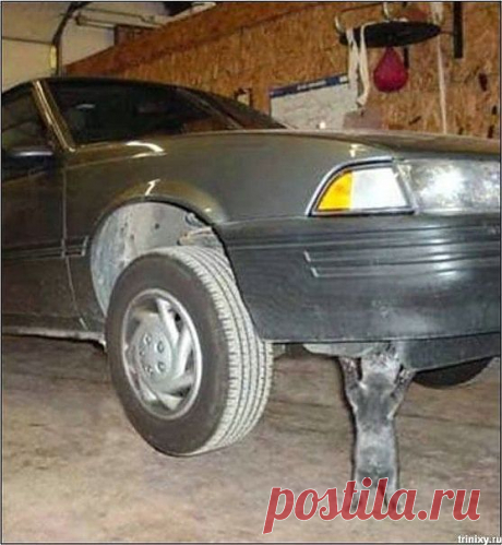 Челябинские коты - настолько суровы.....