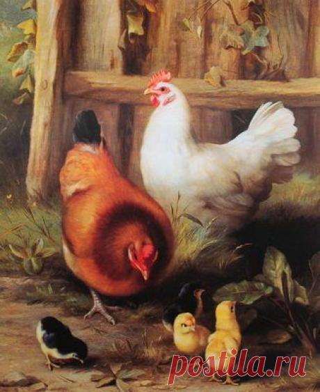 Найдено на сайте r.ebay.com.