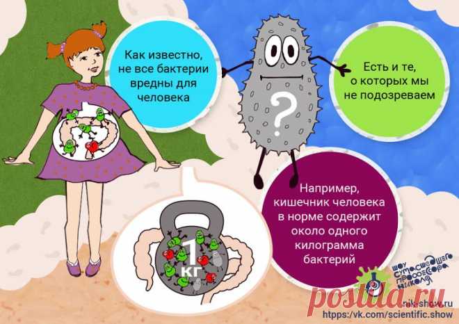 КОМИКСЫ — Шоу сумасшедшего профессора Николя