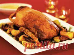 Гусачок под коньячок