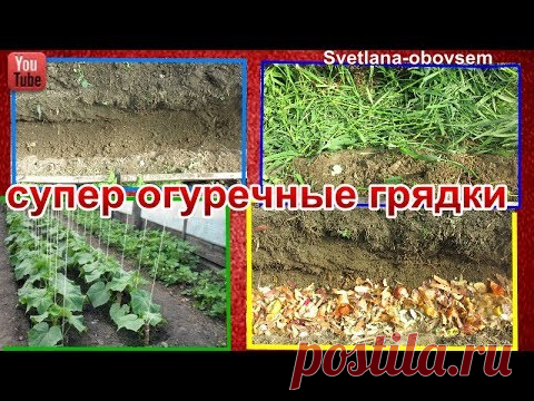 ПОЛОЖИТЕ ЭТО В ГРЯДКИ ДЛЯ ПОСАДКИ  ОГУРЦОВ.ГОТОВИМ ГРЯДКИ С СЮРПРИЗОМ, ДЛЯ ОГУРЦОВ -ЗАРАНЕЕ !