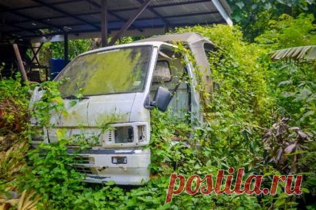 День 83-84. Прогулка по острову.