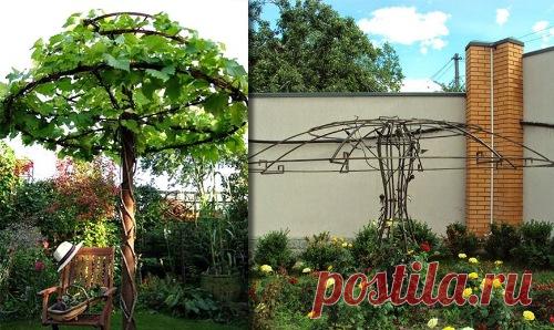 Мастер-классы | Домохозяйка