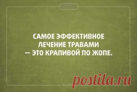 Лучшие цитаты интернета / Писец - приколы интернета