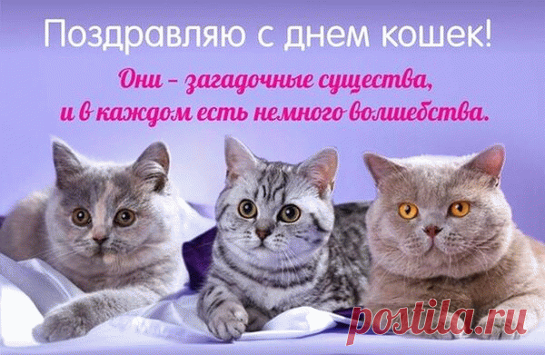 Всем хвостатым-полосатым
Здравия желаю,
А хозяев с днем прекрасным
Нежно поздравляю!