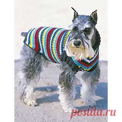Dog Coat - Patterns  | Yarnspirations