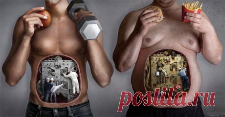 Как ускорить обмен веществ: Здоровье - diets.ru