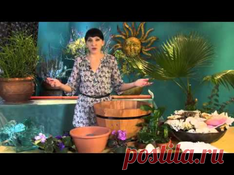 Комнатные фонтанчики своими руками, любимое хобби