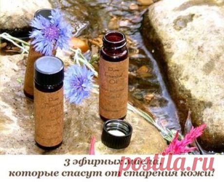 3 эфирных масла, которые спасут от старения кожи!
1. Масло шалфея лучше всего использовать для удаления тонких мимических морщин, особенно при использовании в комбинации с увлажняющим кремом. Оно обладает антисептическими и антибактериальными свойствами, помогает затянуть поры и делает кожу более упругой.

2. Масло герани можно использовать практически для любого типа кожи. Оно помогает увеличить микроциркуляцию крови, эластичность кожи и сохранить в ней влагу. Масло геран...