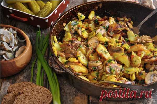 Жареная картошка с шампиньонами. Сытный и вкусный ужин
Аромат жареной картошечки с грибами просто невозможно оставить без внимания. Он разносится по всему дому, заполняя каждое помещение.
