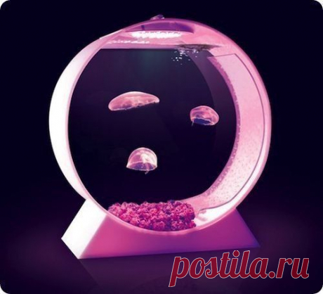 Фотографии на стене сообщества | 32 928 фотографий